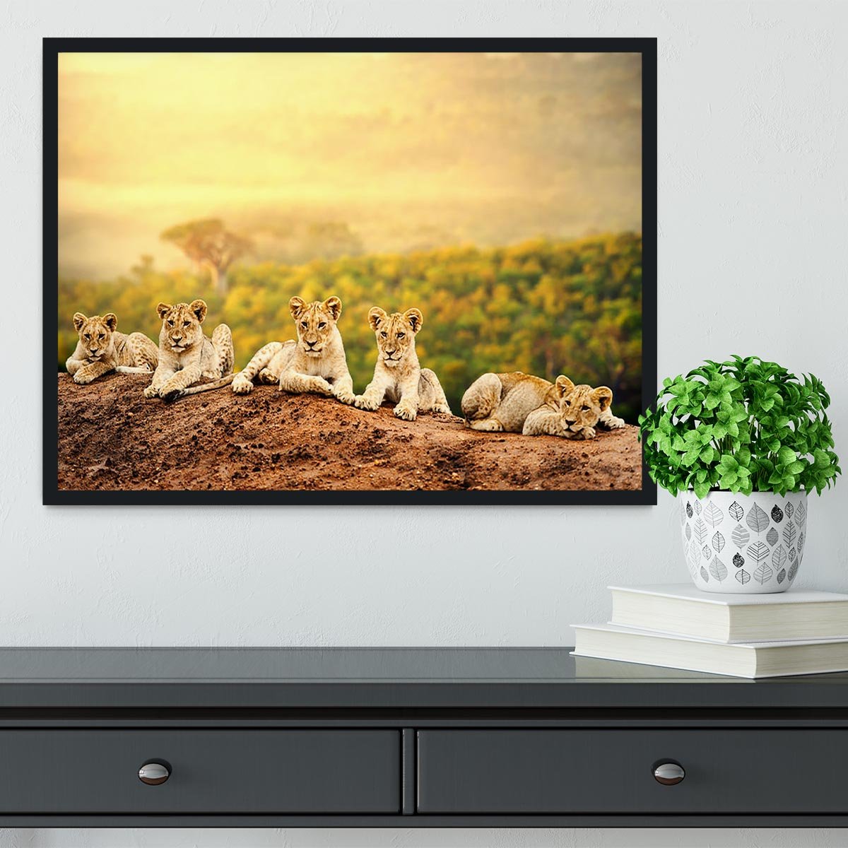 Close up of lion cubs laying together Framed Print - Canvas Art Rocks - 2