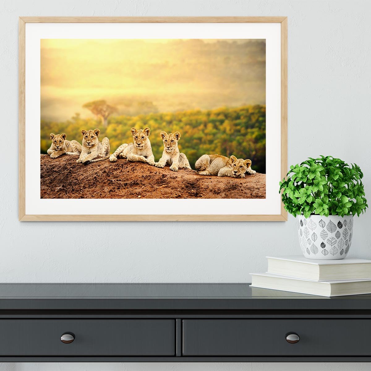 Close up of lion cubs laying together Framed Print - Canvas Art Rocks - 3