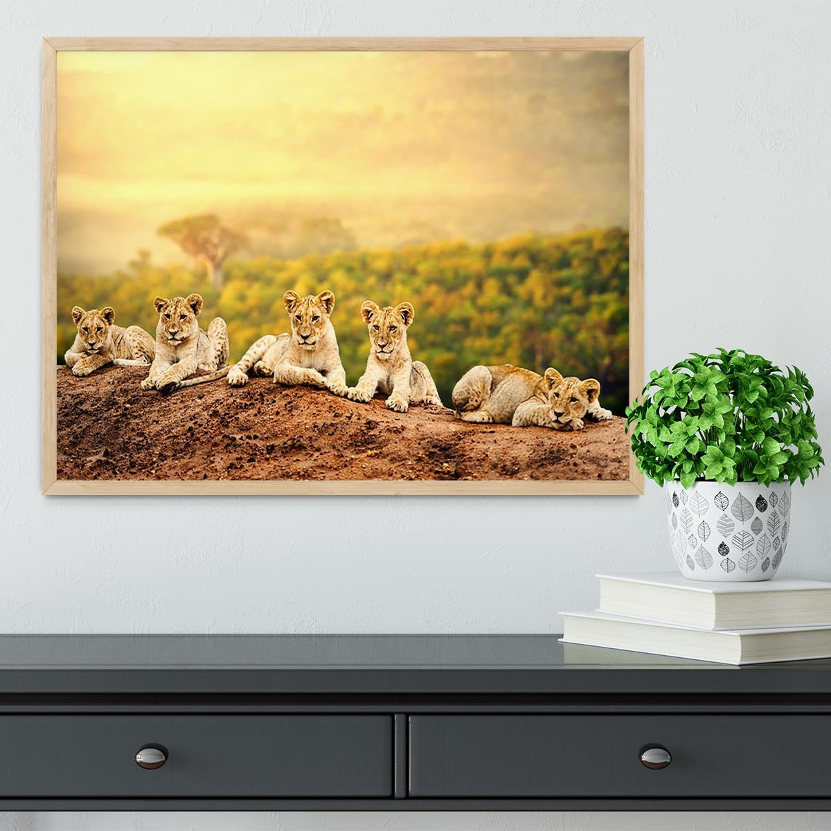 Close up of lion cubs laying together Framed Print - Canvas Art Rocks - 4