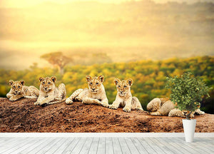 Close up of lion cubs laying together Wall Mural Wallpaper - Canvas Art Rocks - 4