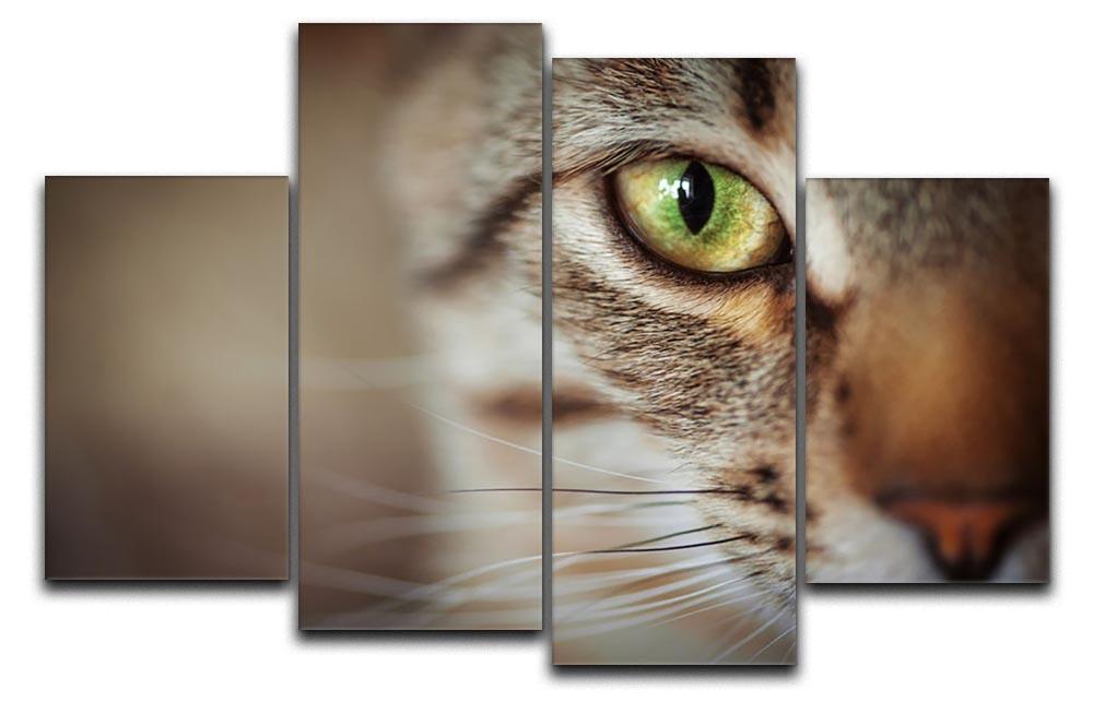 Closeup of tabby cat face. Fauna background 4 Split Panel Canvas - Canvas Art Rocks - 1