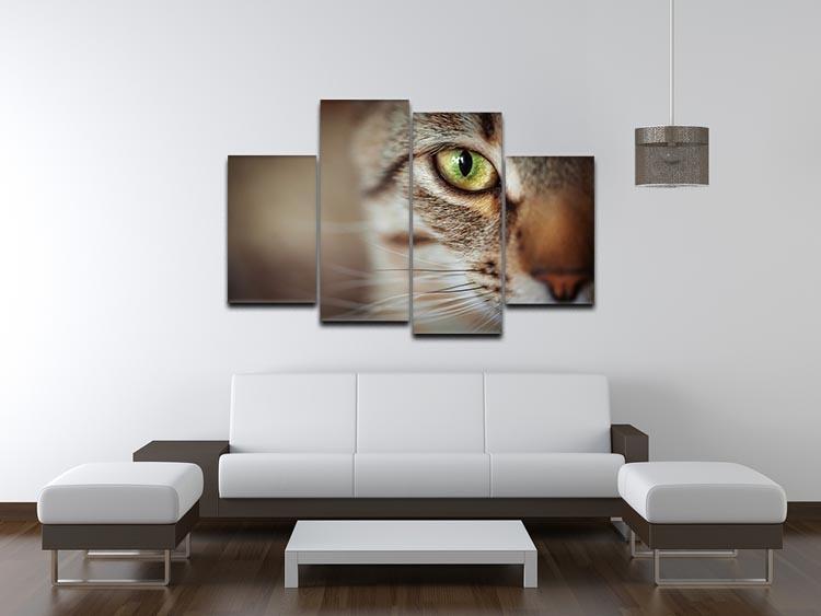 Closeup of tabby cat face. Fauna background 4 Split Panel Canvas - Canvas Art Rocks - 3