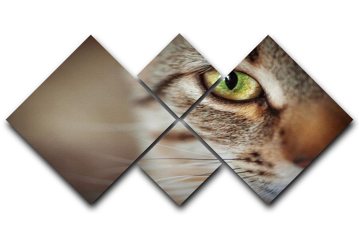 Closeup of tabby cat face. Fauna background 4 Square Multi Panel Canvas - Canvas Art Rocks - 1
