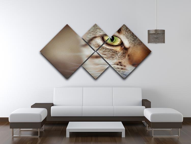 Closeup of tabby cat face. Fauna background 4 Square Multi Panel Canvas - Canvas Art Rocks - 3