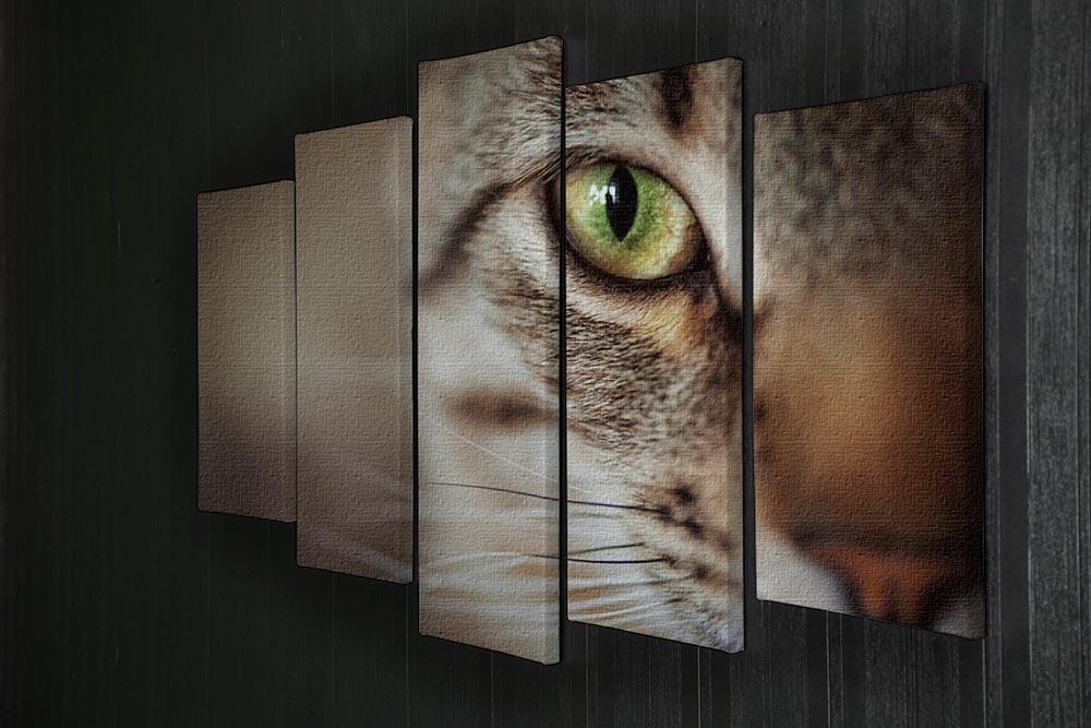 Closeup of tabby cat face. Fauna background 5 Split Panel Canvas - Canvas Art Rocks - 2
