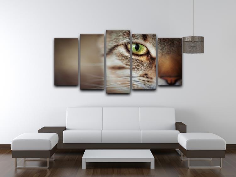 Closeup of tabby cat face. Fauna background 5 Split Panel Canvas - Canvas Art Rocks - 3