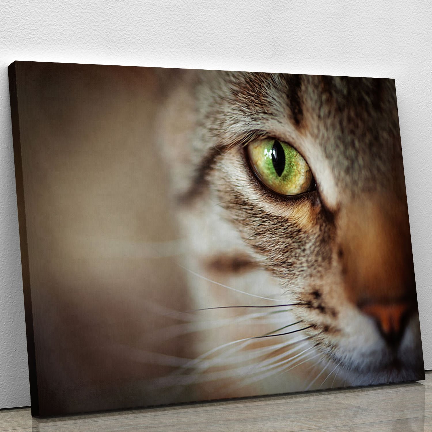 Closeup of tabby cat face. Fauna background Canvas Print or Poster