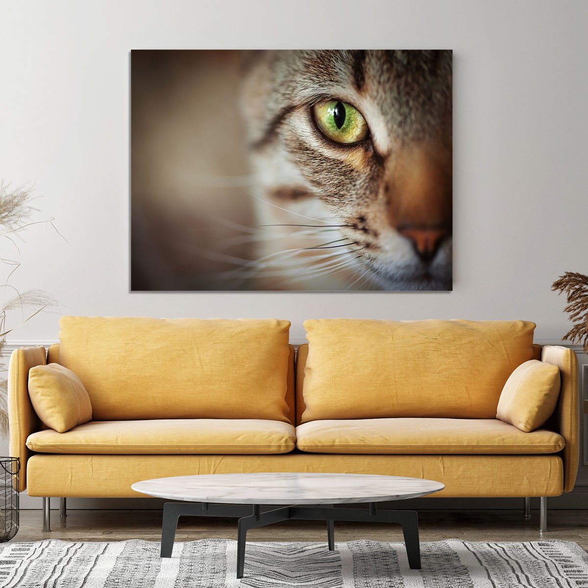 Closeup of tabby cat face. Fauna background Canvas Print or Poster