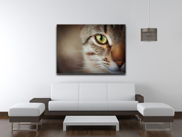 Closeup of tabby cat face. Fauna background Canvas Print or Poster - Canvas Art Rocks - 4