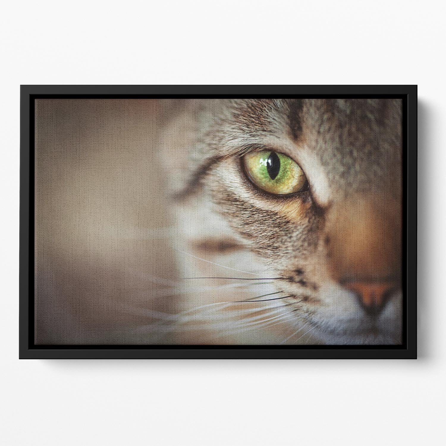 Closeup of tabby cat face. Fauna background Floating Framed Canvas - Canvas Art Rocks - 2