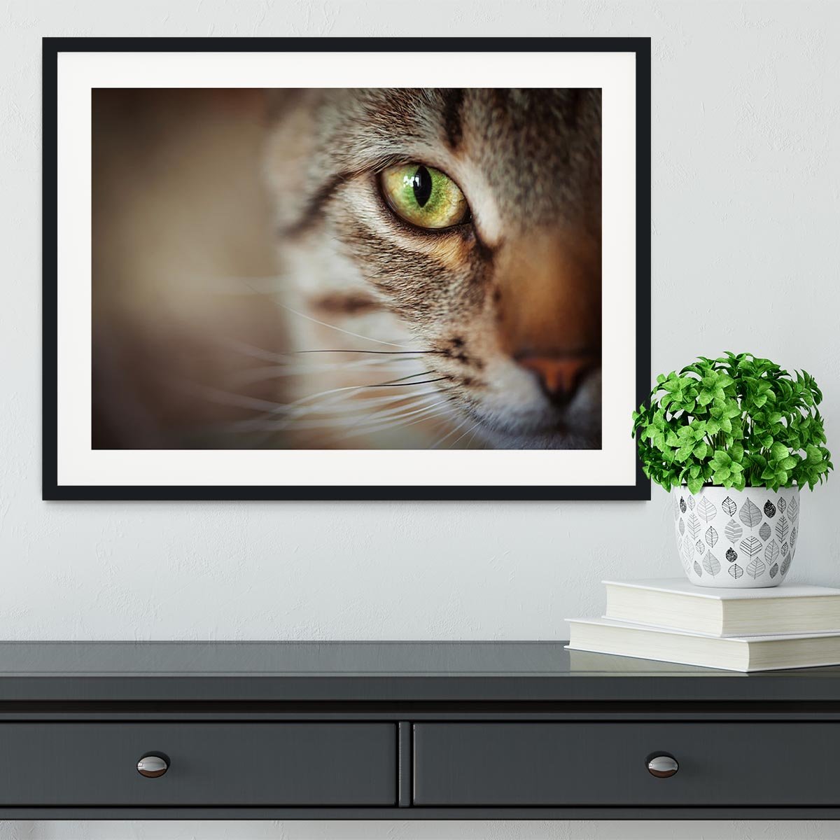 Closeup of tabby cat face. Fauna background Framed Print - Canvas Art Rocks - 1