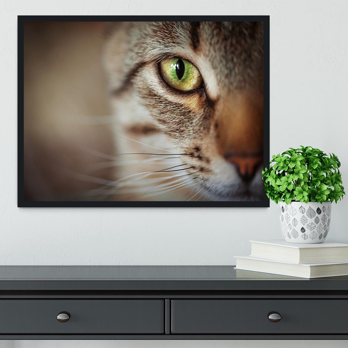 Closeup of tabby cat face. Fauna background Framed Print - Canvas Art Rocks - 2