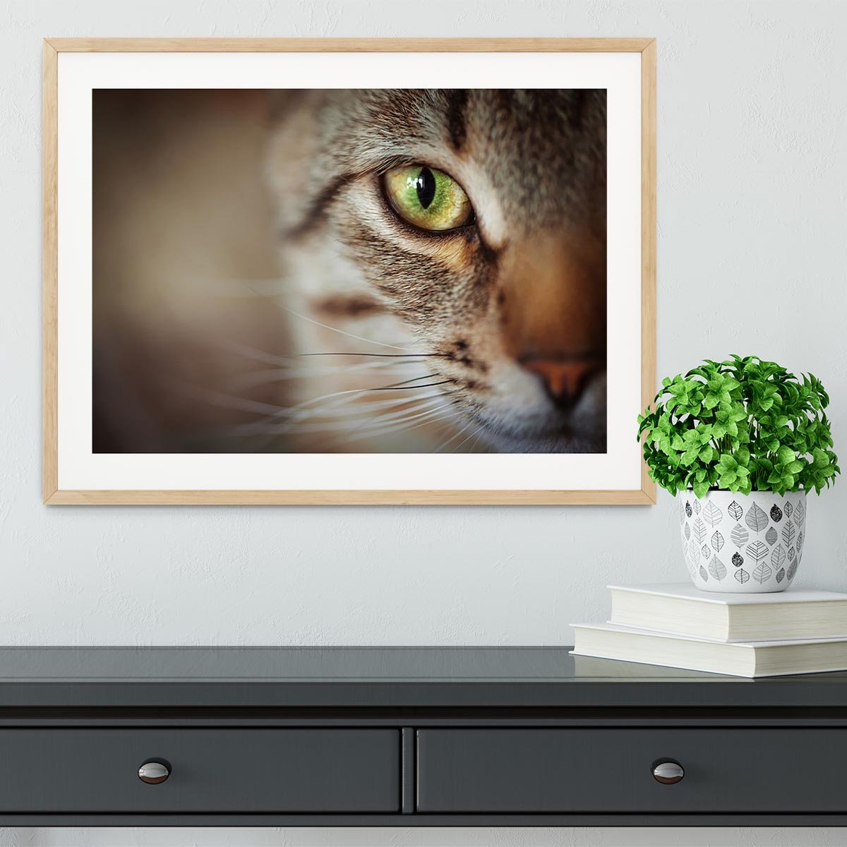 Closeup of tabby cat face. Fauna background Framed Print - Canvas Art Rocks - 3
