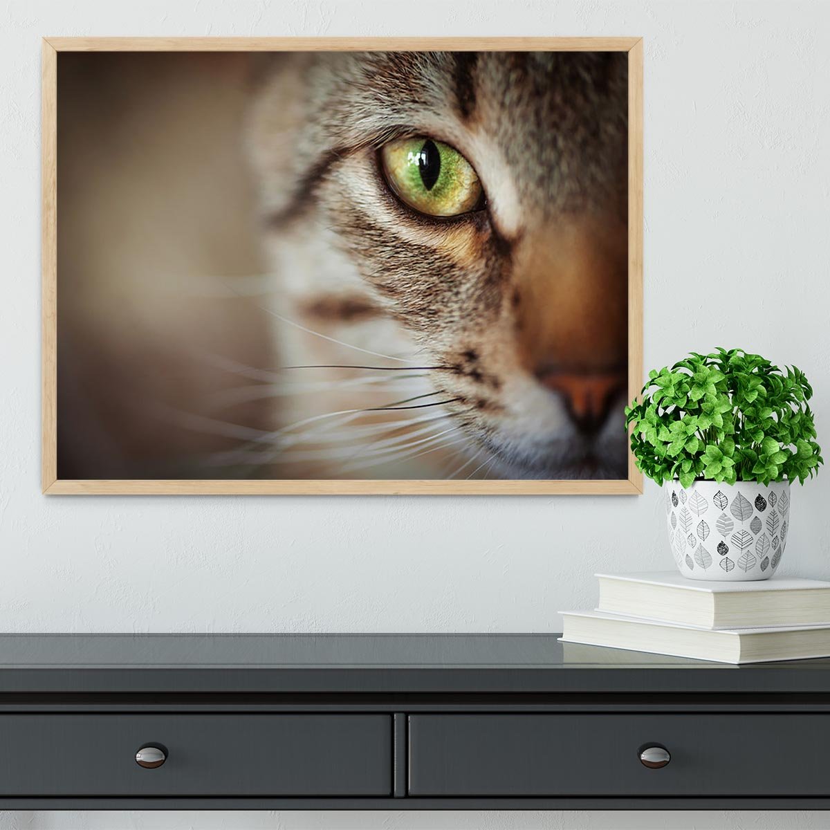 Closeup of tabby cat face. Fauna background Framed Print - Canvas Art Rocks - 4