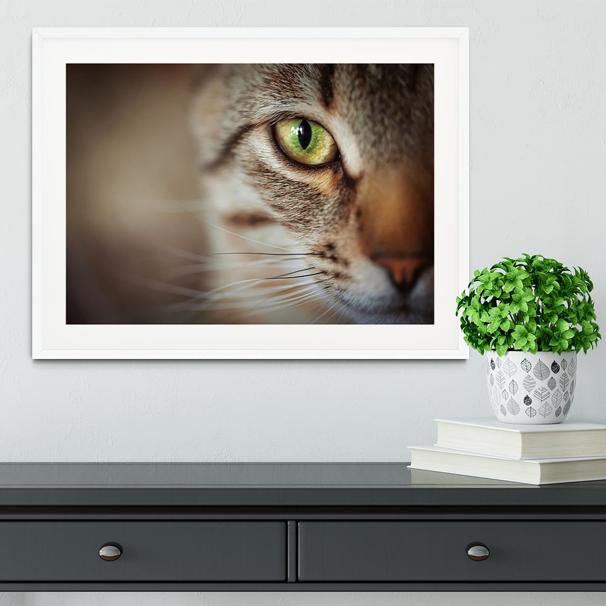 Closeup of tabby cat face. Fauna background Framed Print - Canvas Art Rocks - 5