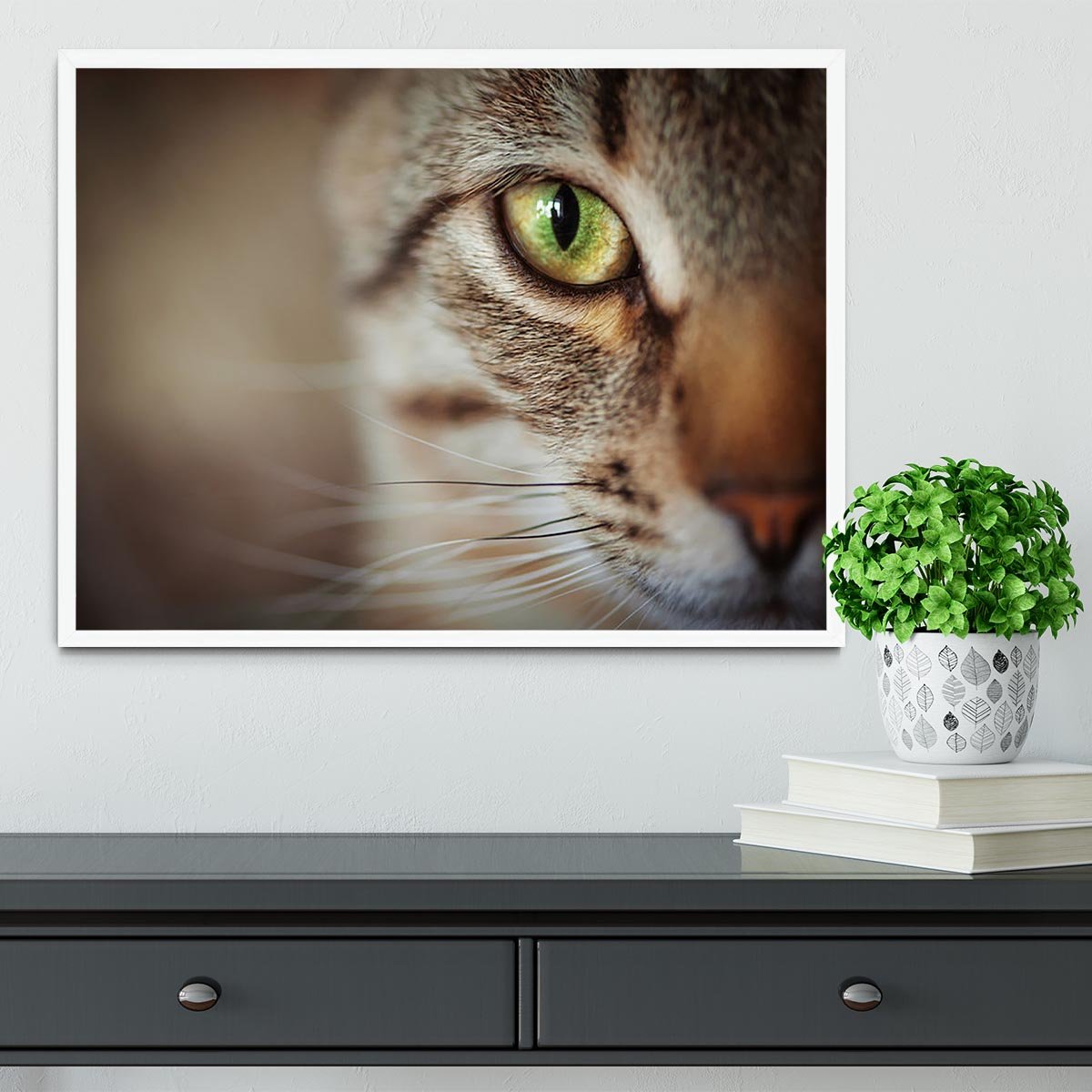 Closeup of tabby cat face. Fauna background Framed Print - Canvas Art Rocks -6