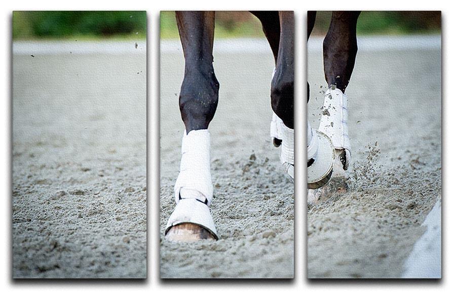 Closeup of the hooves from a horse 3 Split Panel Canvas Print - Canvas Art Rocks - 1