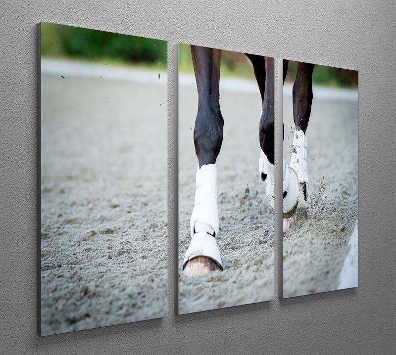 Closeup of the hooves from a horse 3 Split Panel Canvas Print - Canvas Art Rocks - 2