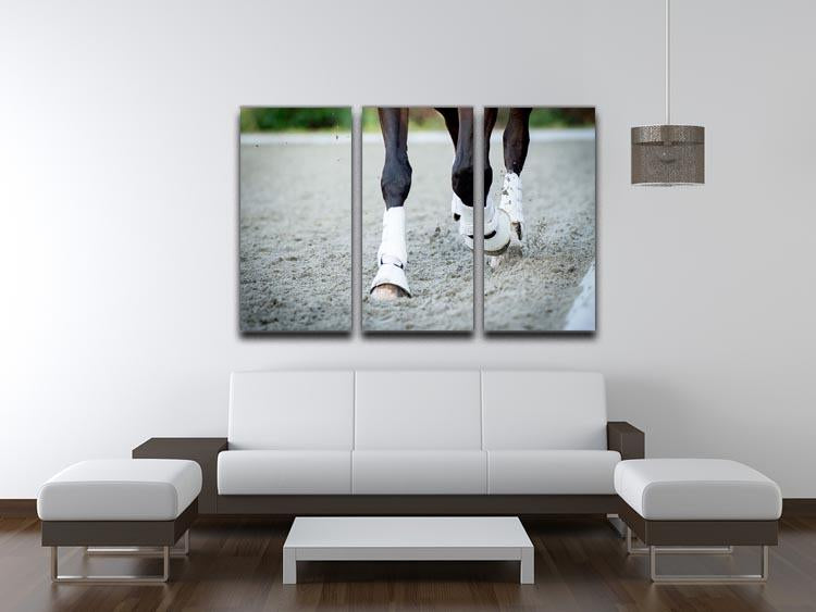 Closeup of the hooves from a horse 3 Split Panel Canvas Print - Canvas Art Rocks - 3