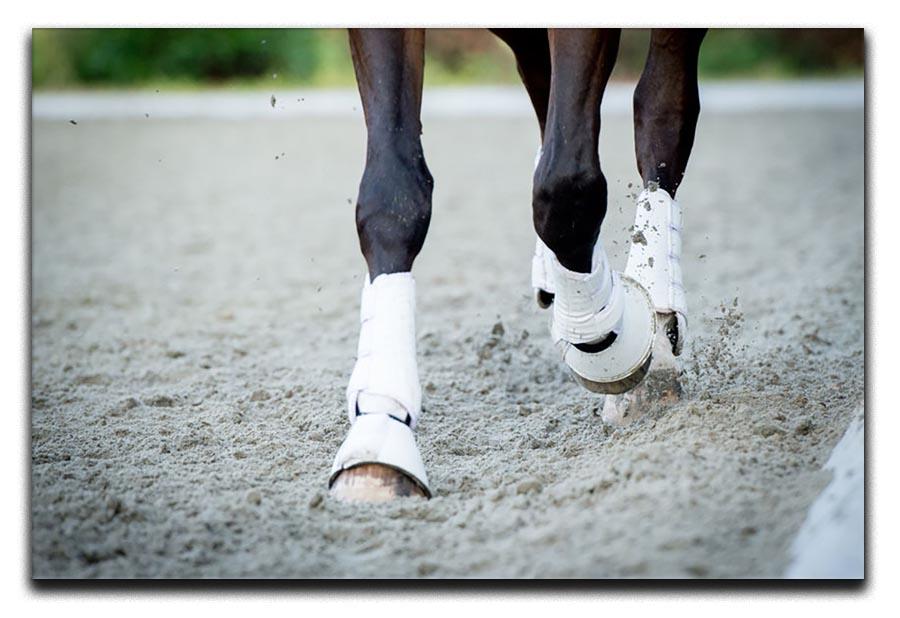 Closeup of the hooves from a horse Canvas Print or Poster - Canvas Art Rocks - 1