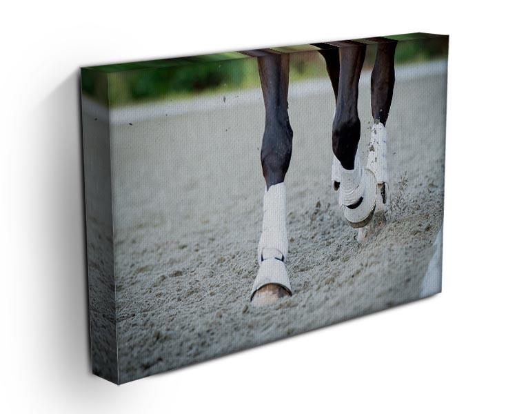 Closeup of the hooves from a horse Canvas Print or Poster - Canvas Art Rocks - 3