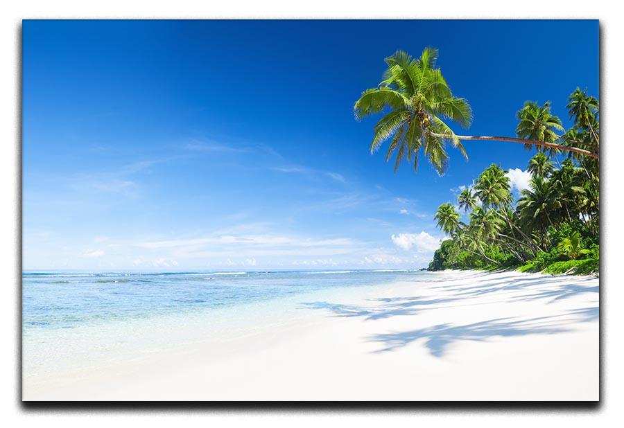 Coastline and Palm Tree Canvas Print or Poster - Canvas Art Rocks - 1