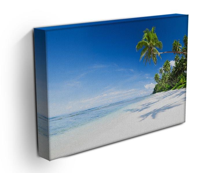 Coastline and Palm Tree Canvas Print or Poster - Canvas Art Rocks - 3