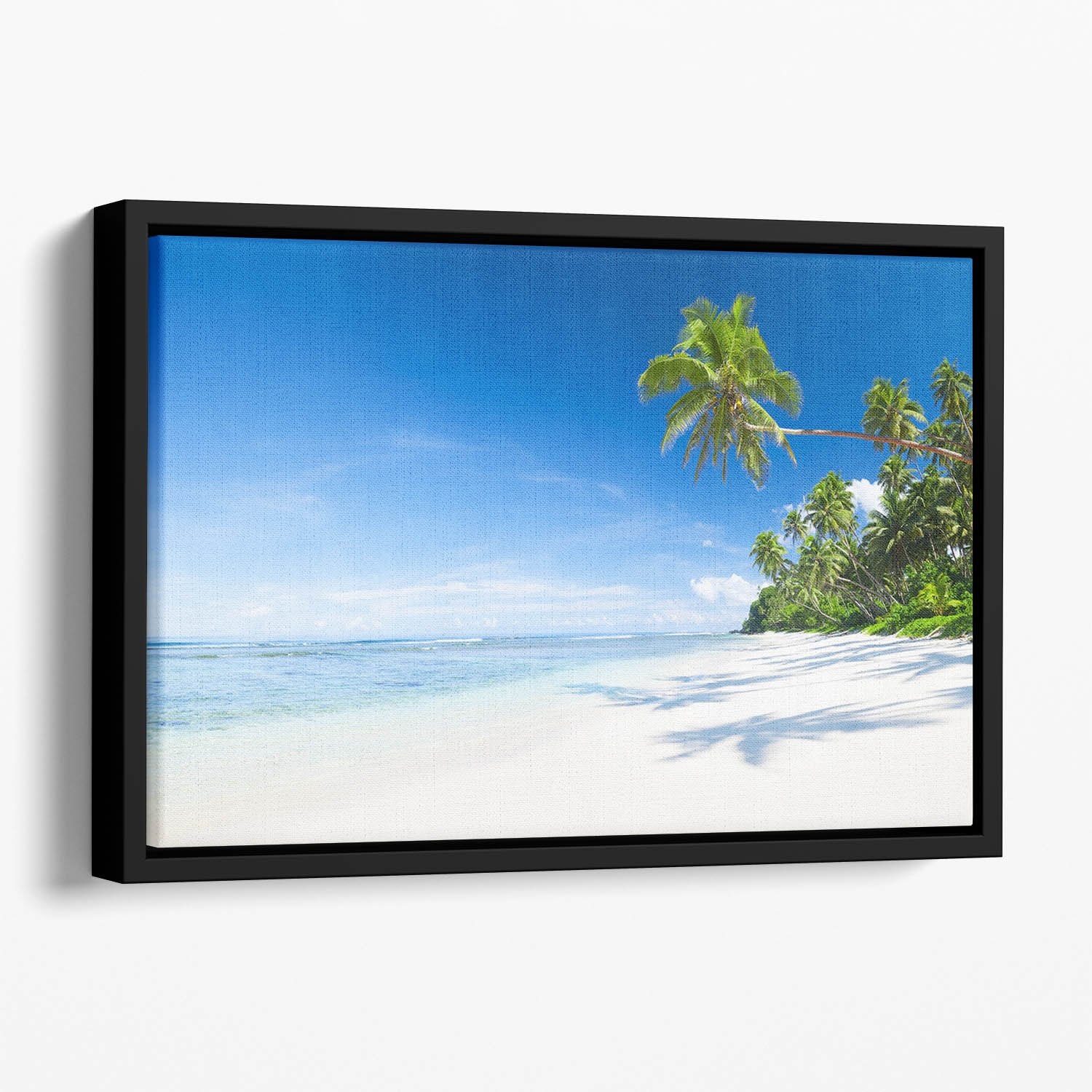 Coastline and Palm Tree Floating Framed Canvas