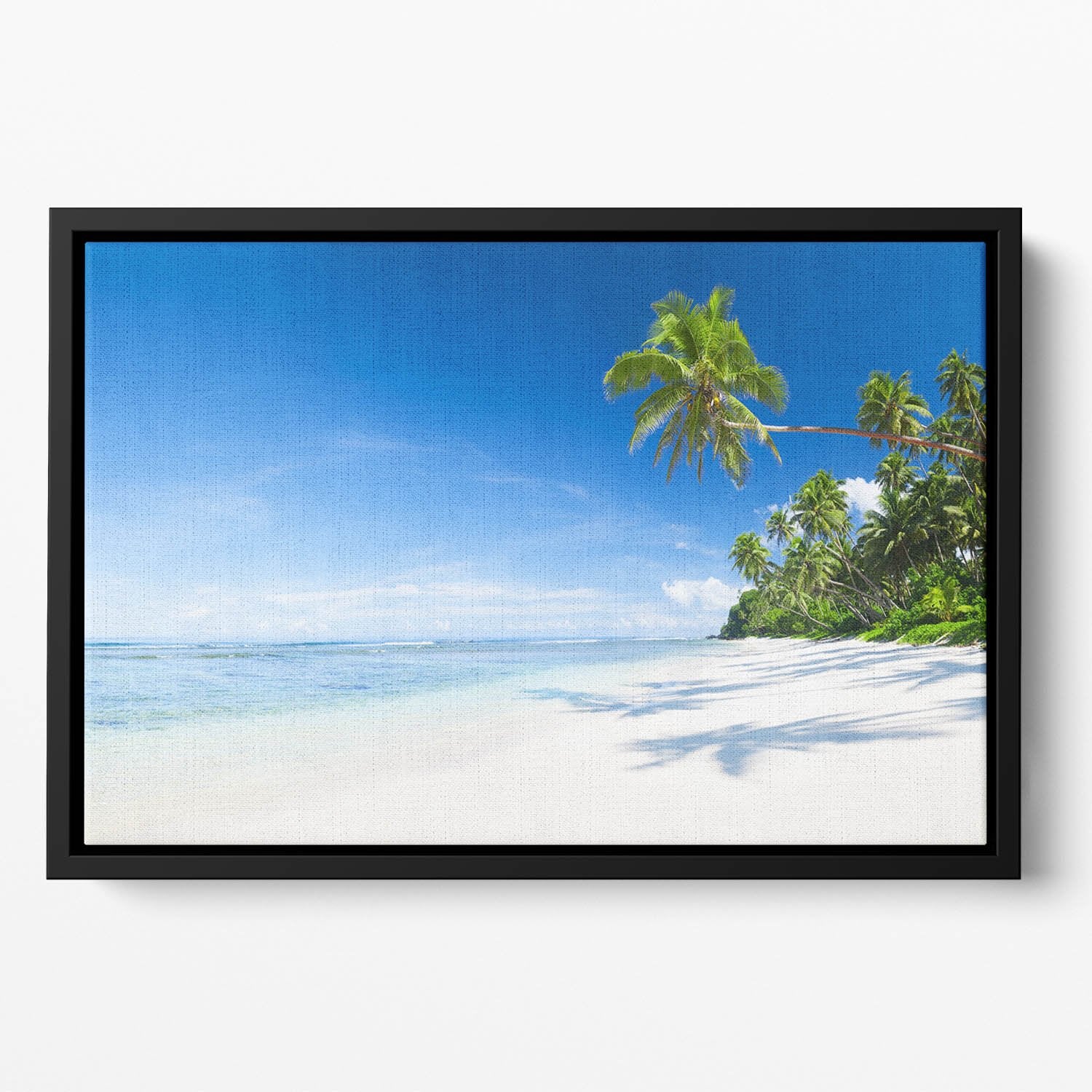 Coastline and Palm Tree Floating Framed Canvas
