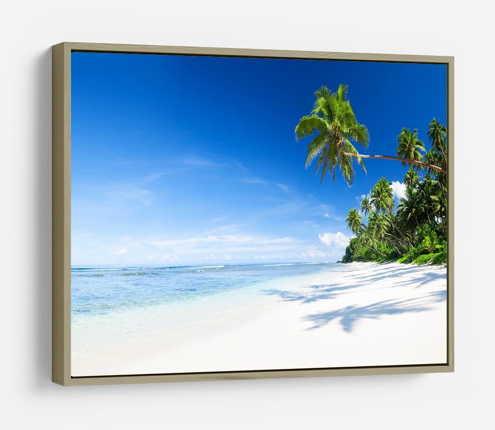 Coastline and Palm Tree HD Metal Print - Canvas Art Rocks - 8