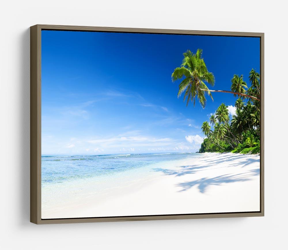 Coastline and Palm Tree HD Metal Print - Canvas Art Rocks - 10