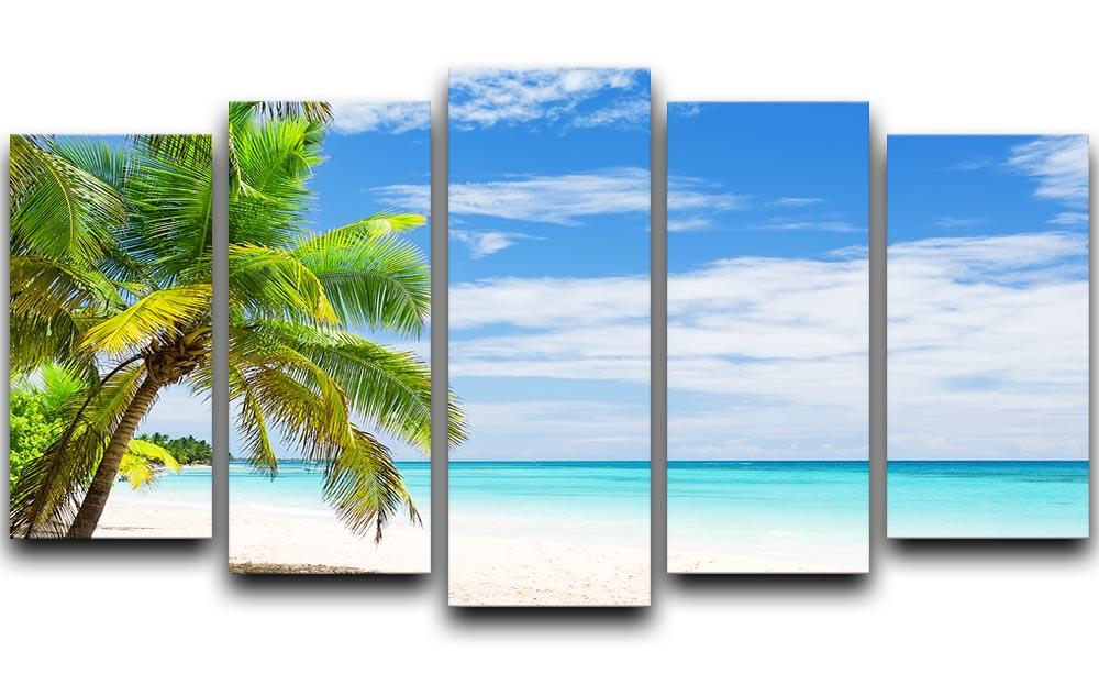 Coconut Palm trees on white sandy beach 5 Split Panel Canvas - Canvas Art Rocks - 1