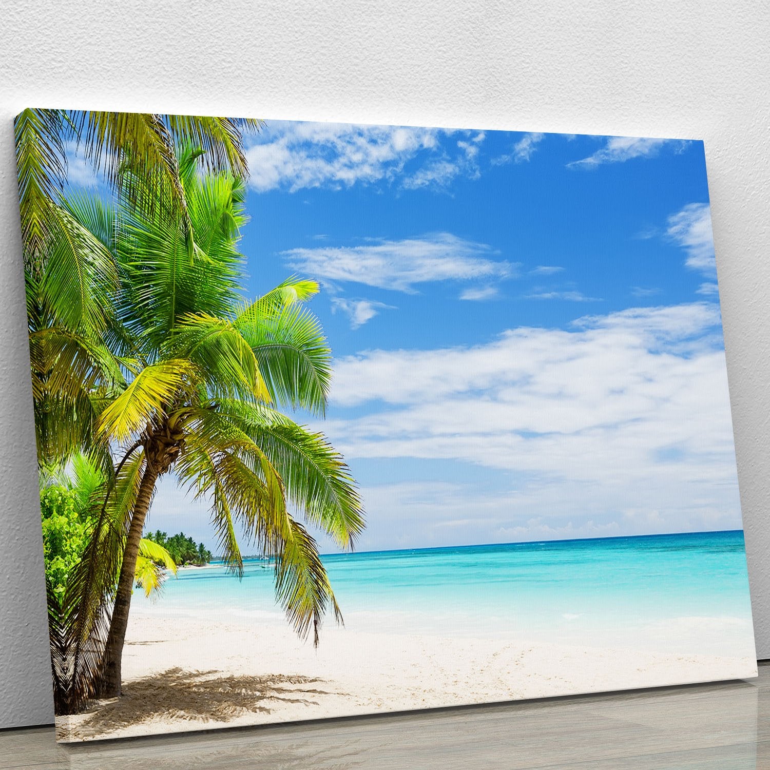 Coconut Palm trees on white sandy beach Canvas Print or Poster