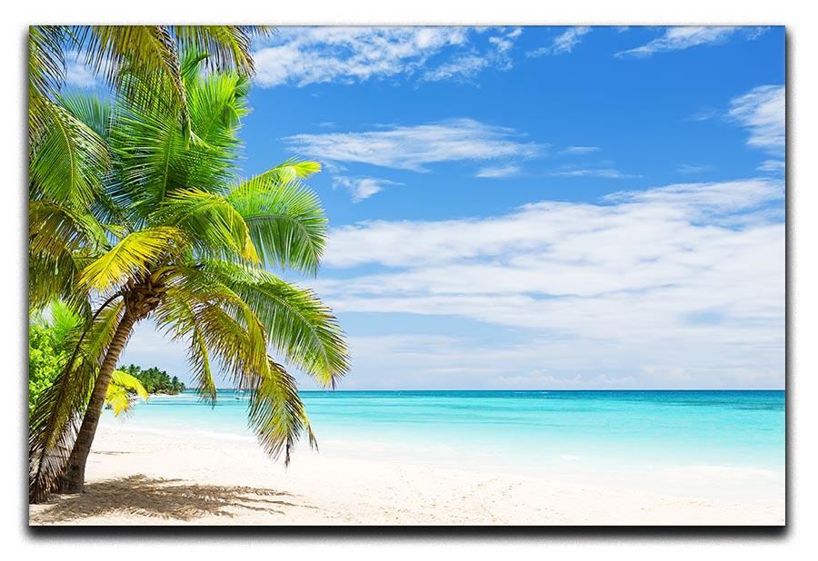 Coconut Palm trees on white sandy beach Canvas Print or Poster - Canvas Art Rocks - 1