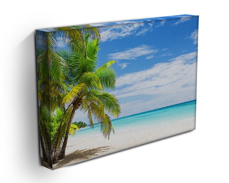 Coconut Palm trees on white sandy beach Canvas Print or Poster - Canvas Art Rocks - 3