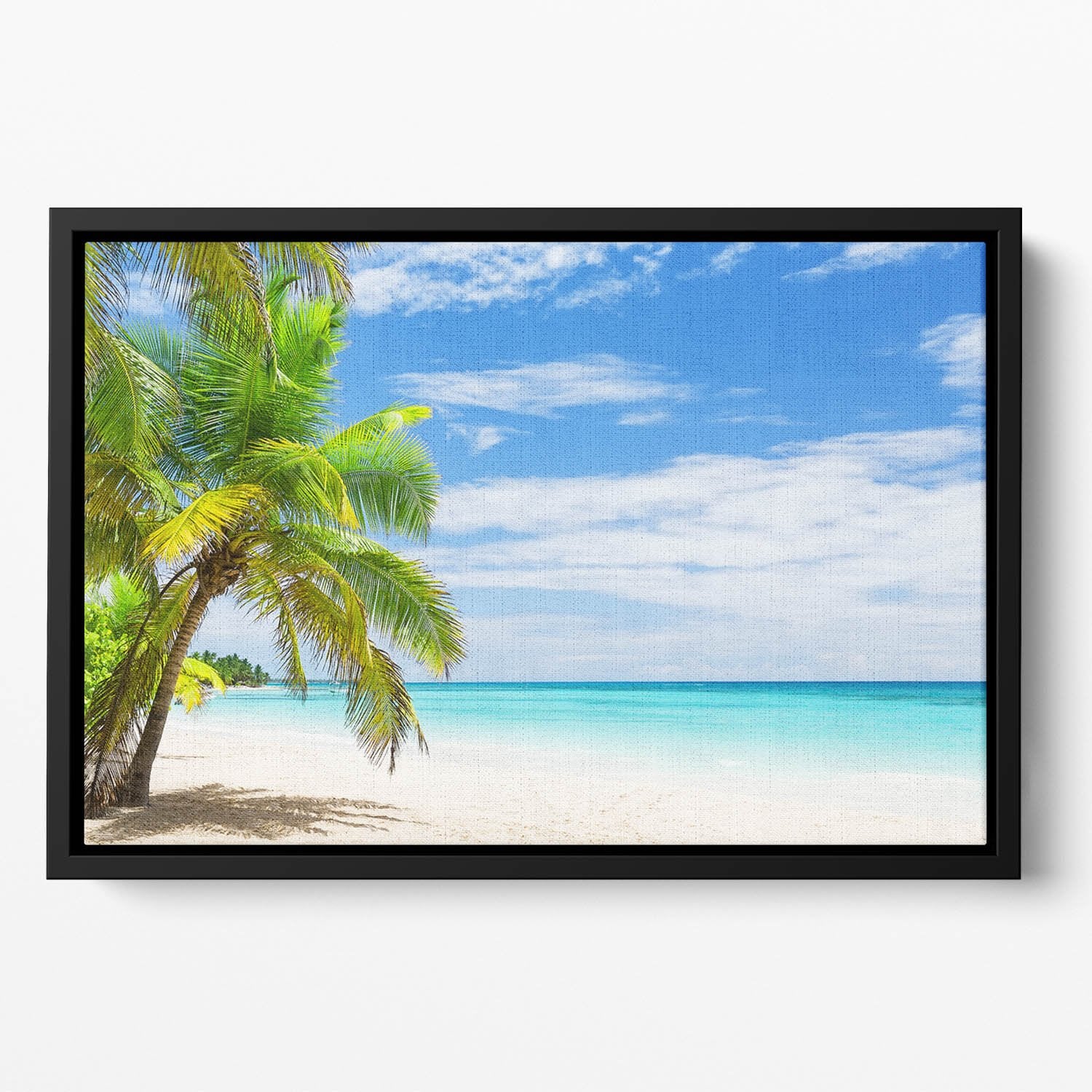 Coconut Palm trees on white sandy beach Floating Framed Canvas