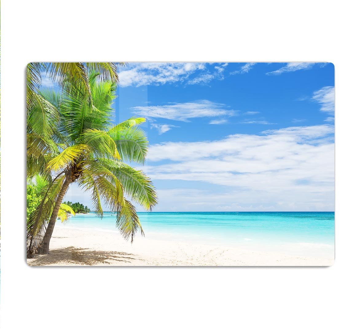 Coconut Palm trees on white sandy beach HD Metal Print - Canvas Art Rocks - 1