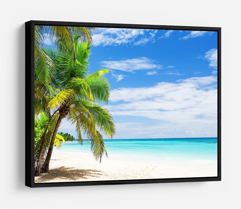 Coconut Palm trees on white sandy beach HD Metal Print - Canvas Art Rocks - 6