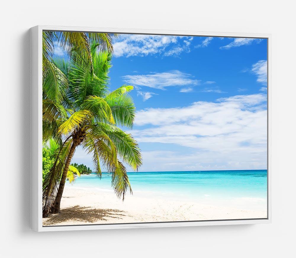 Coconut Palm trees on white sandy beach HD Metal Print - Canvas Art Rocks - 7