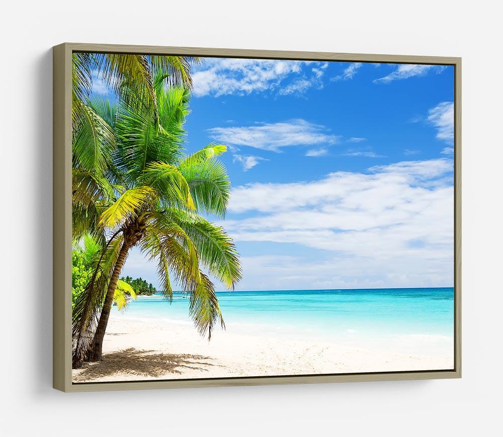 Coconut Palm trees on white sandy beach HD Metal Print - Canvas Art Rocks - 8
