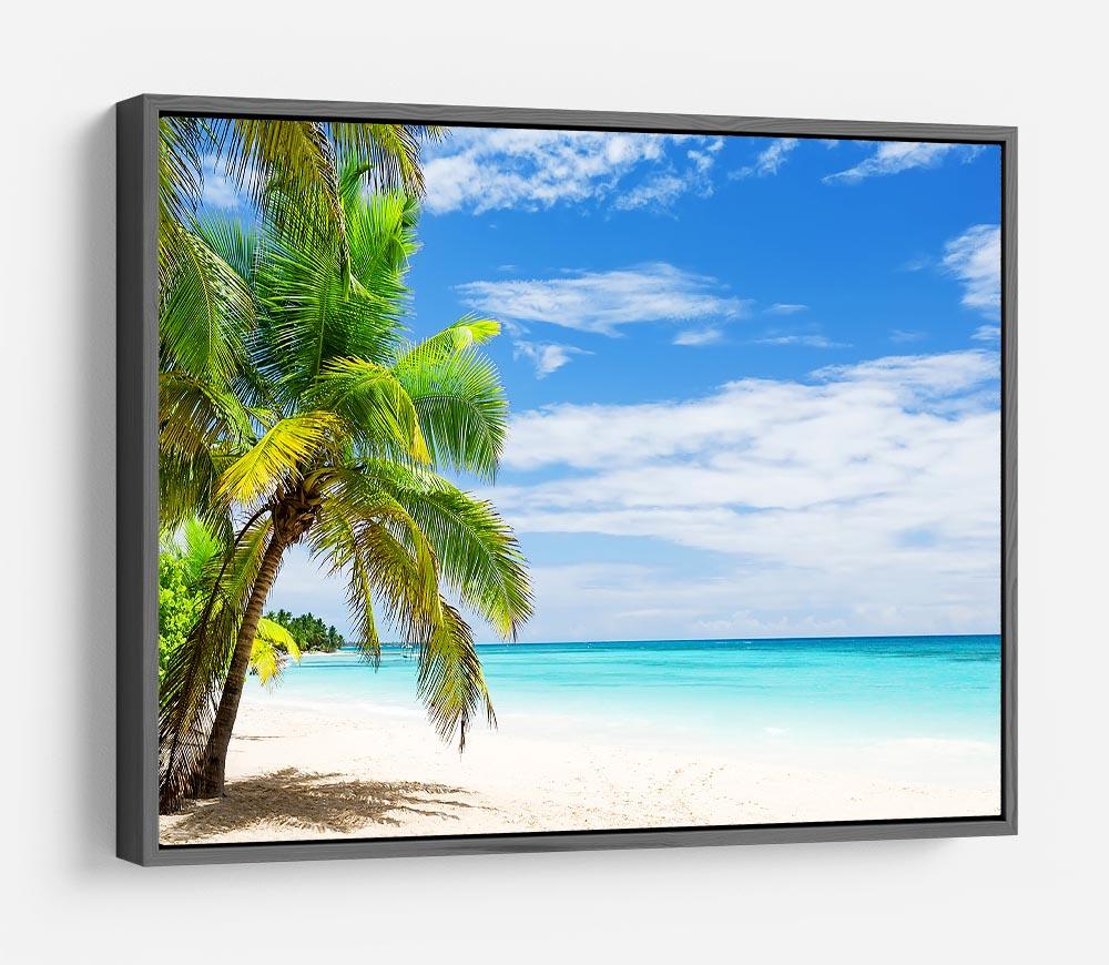 Coconut Palm trees on white sandy beach HD Metal Print - Canvas Art Rocks - 9