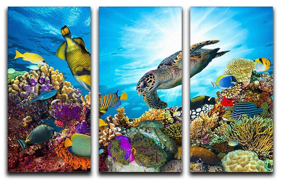 Colorful coral reef 3 Split Panel Canvas Print - Canvas Art Rocks - 1