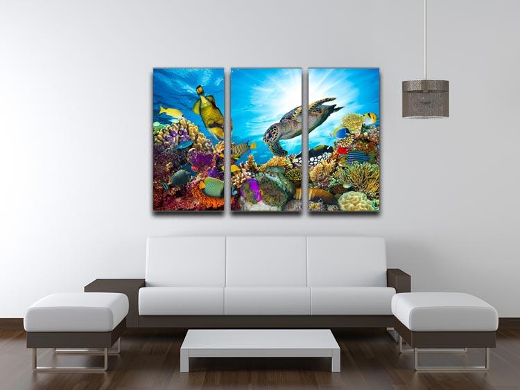 Colorful coral reef 3 Split Panel Canvas Print - Canvas Art Rocks - 3