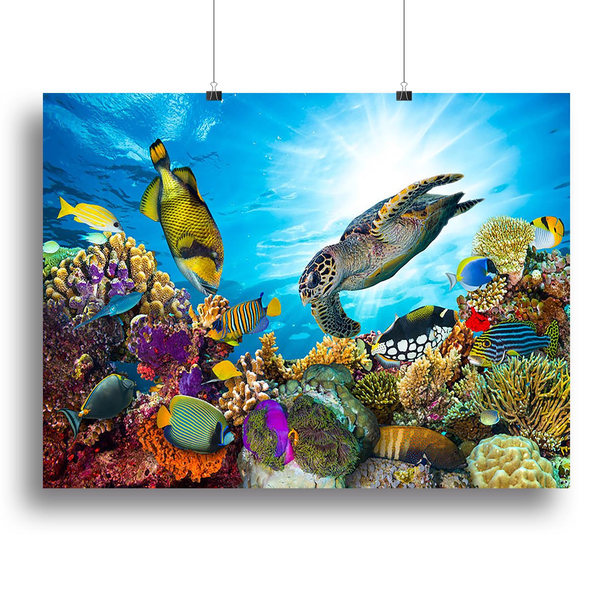 Colorful coral reef Canvas Print or Poster