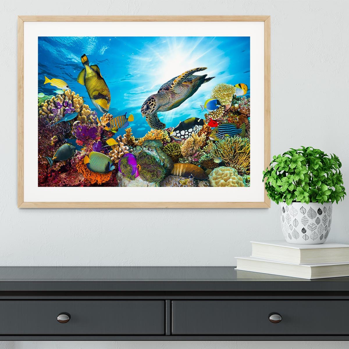 Colorful coral reef Framed Print - Canvas Art Rocks - 3