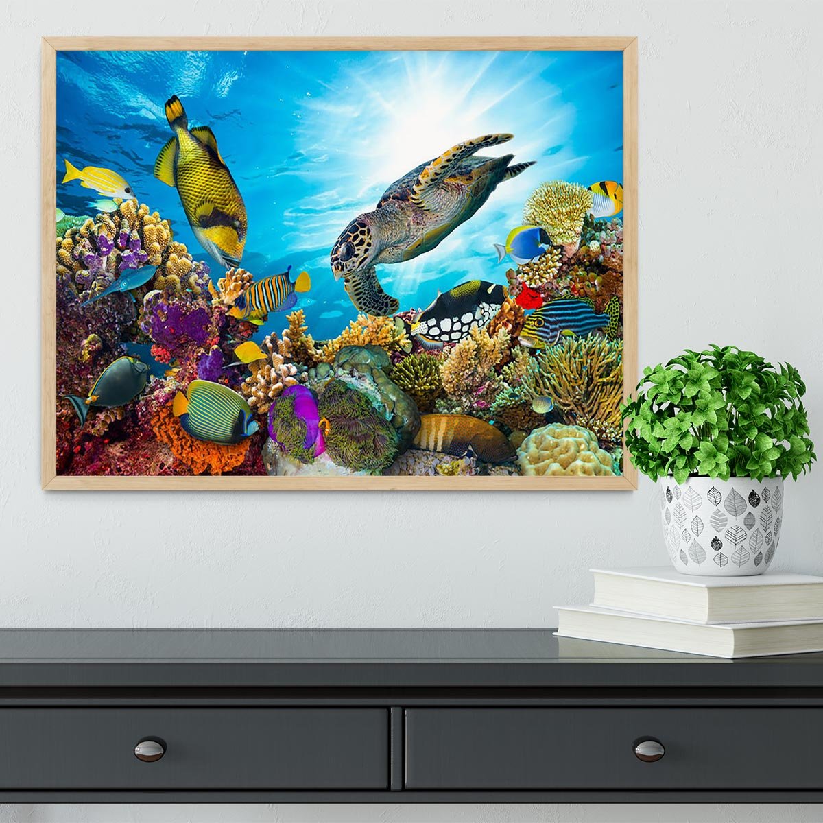 Colorful coral reef Framed Print - Canvas Art Rocks - 4