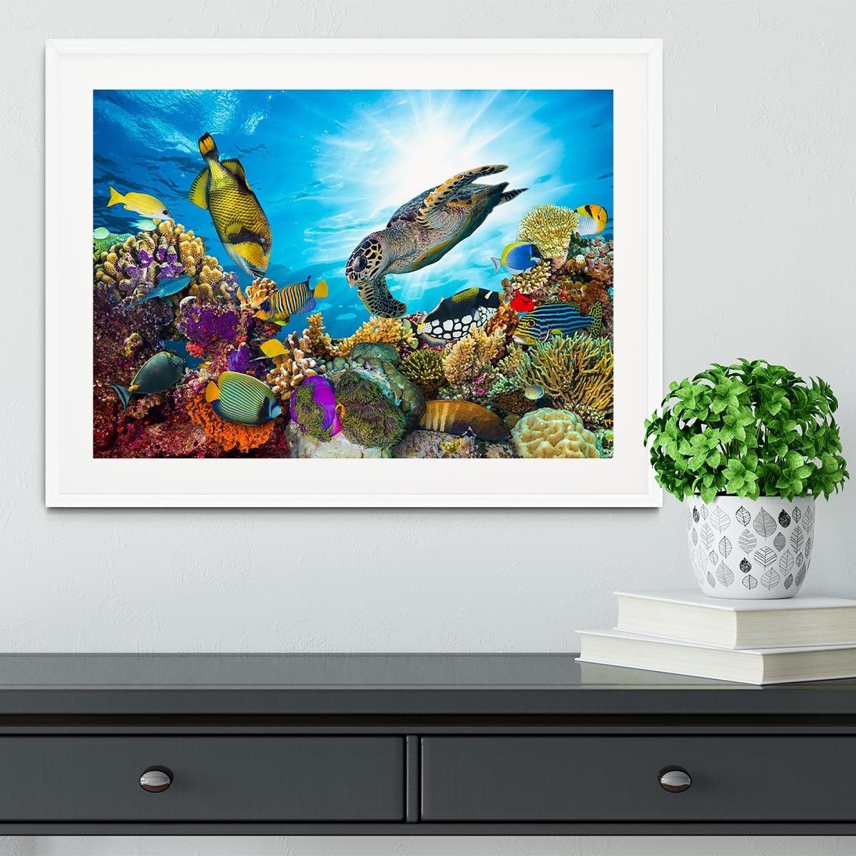 Colorful coral reef Framed Print - Canvas Art Rocks - 5