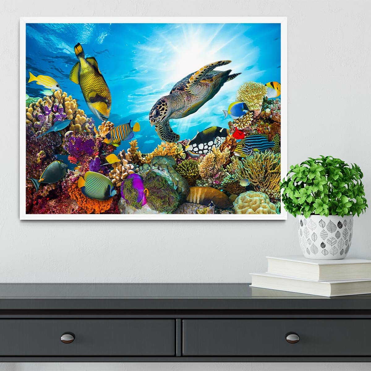 Colorful coral reef Framed Print - Canvas Art Rocks -6