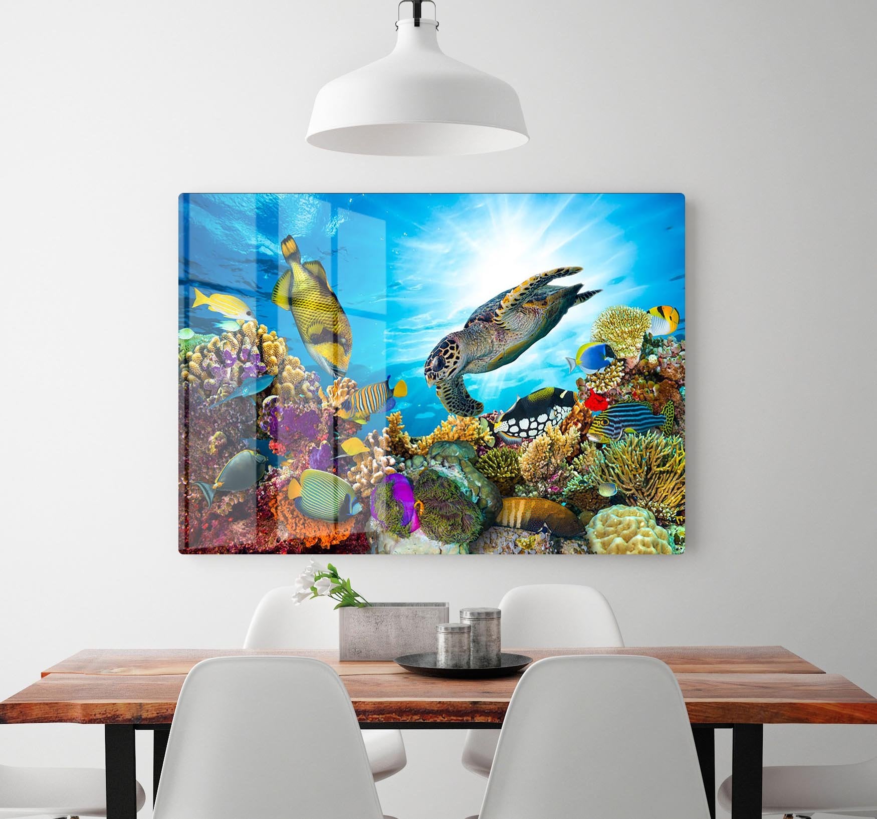 Colorful coral reef HD Metal Print - Canvas Art Rocks - 2