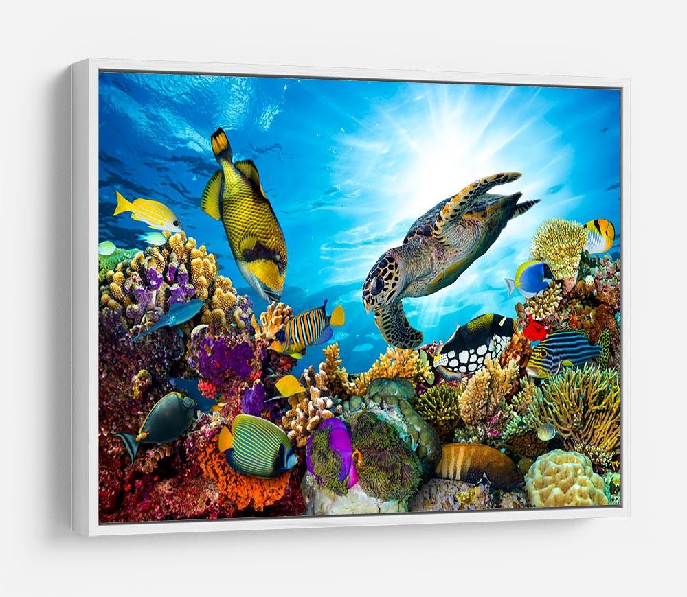 Colorful coral reef HD Metal Print - Canvas Art Rocks - 7